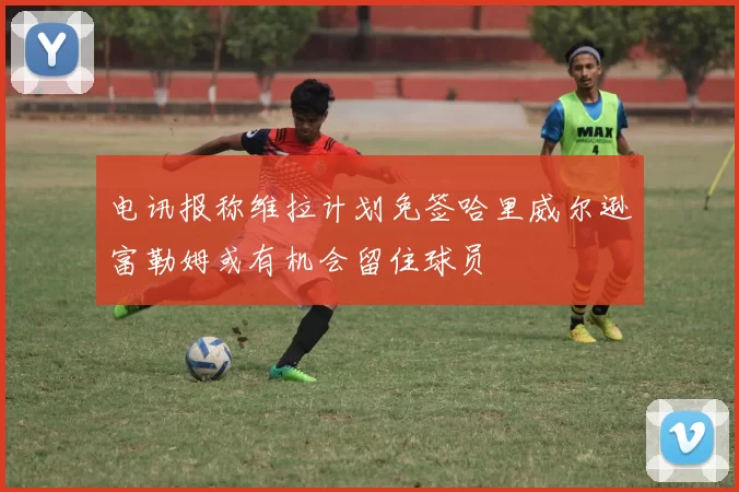 电讯报称维拉计划免签哈里威尔逊富勒姆或有机会留住球员
